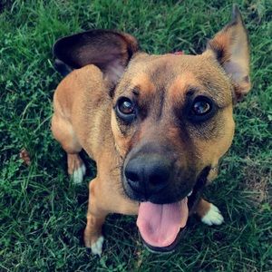 Meet your Posher, Justin